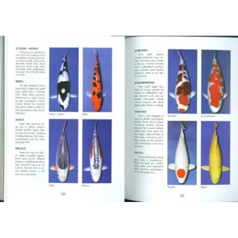 Le livre des bonsaïs n'est pas seulement dans la maison du panneau