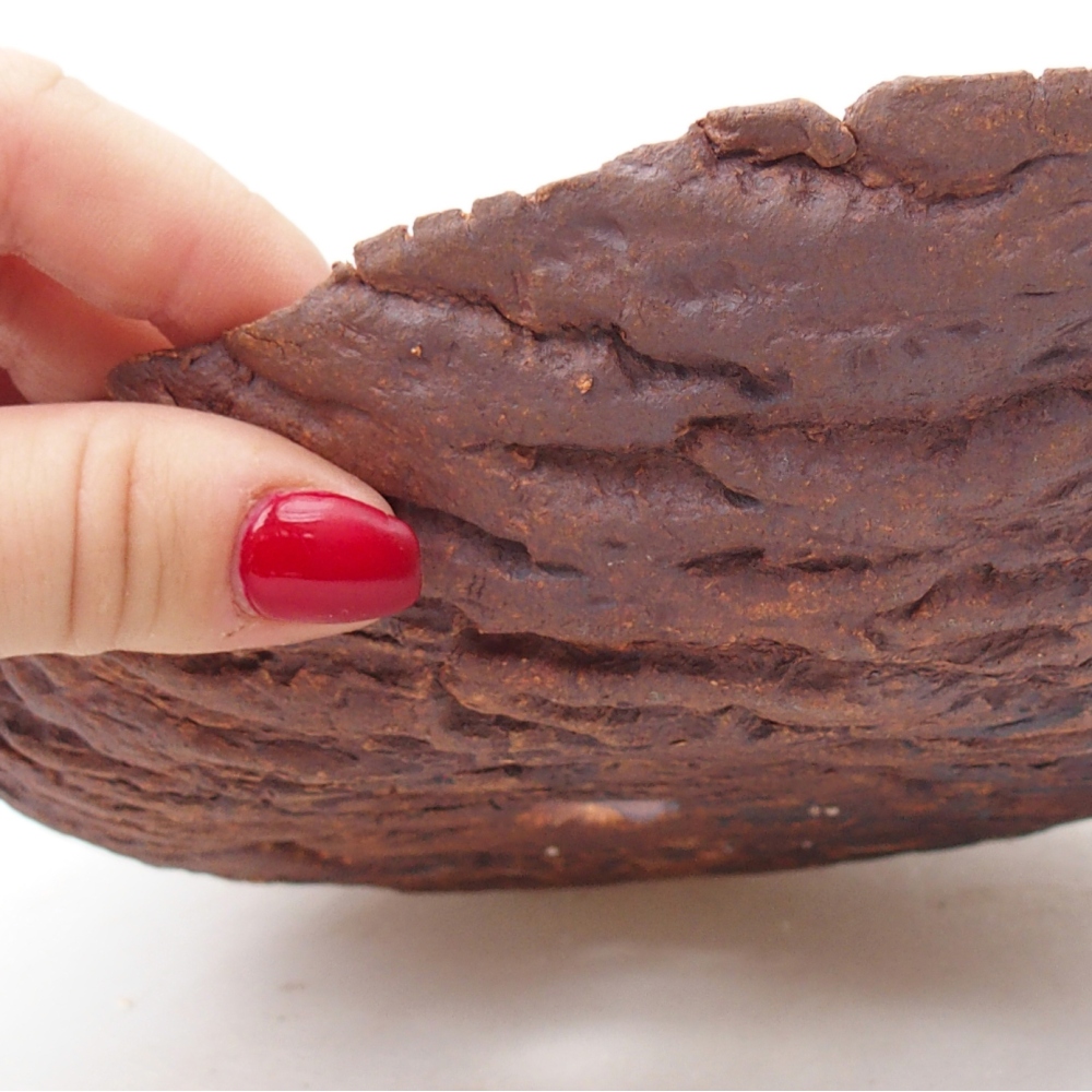 Coquille en céramique 22 x 18,5 x 6,5 cm , couleur marron