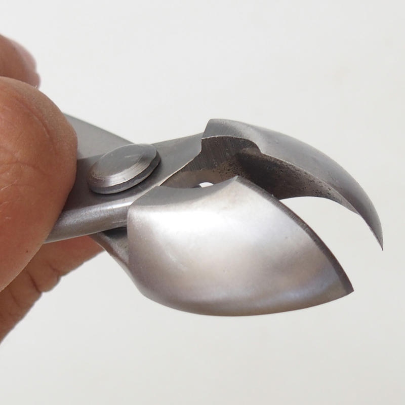 Pince conique demi-ronde 205 mm - Acier inoxydable