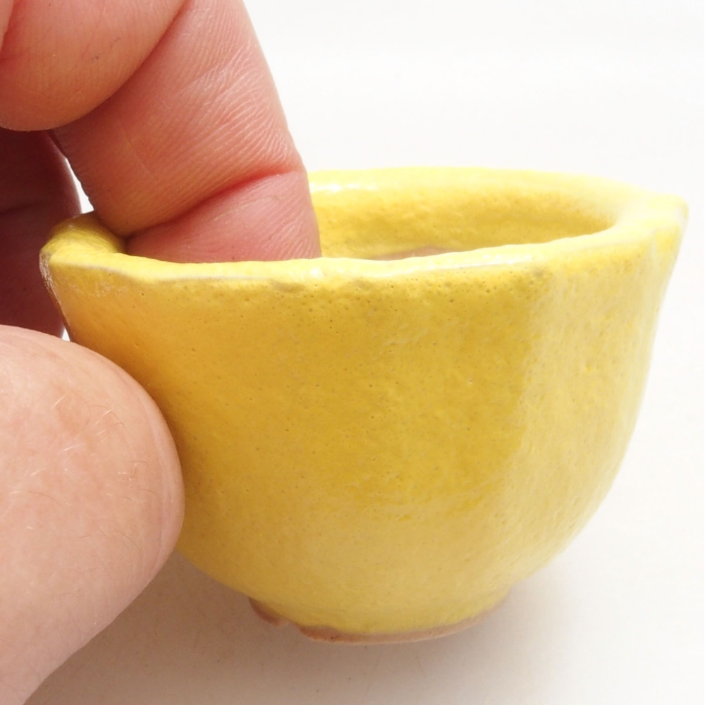 Bol à bonsaï en céramique 5 x 5 x 3 cm, jaune