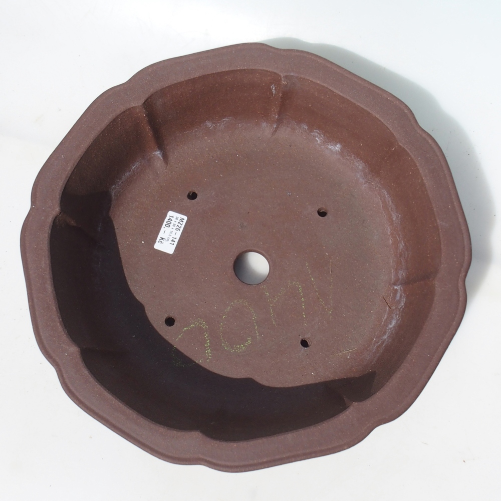 Bol pour bonsaï 38 x 38 x 10,5 cm bouleau brun