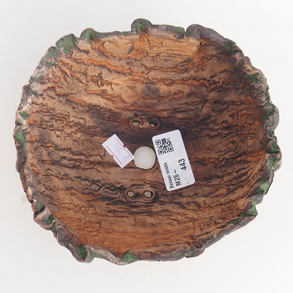 Coquille en céramique 15 x 14 x 7 cm , couleur verte