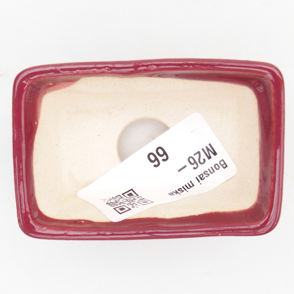Mini bol bonsaï 6,5 x 4 x 2,5 cm, bordeaux