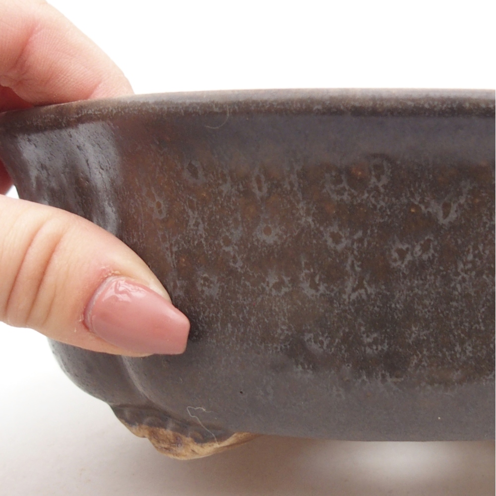 Bol à bonsaï en céramique 18,5 x 17 x 6 cm, brun