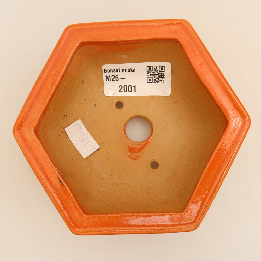 Pot à bonsaï en céramique 12 x 10,5 x 4 cm, couleur orange