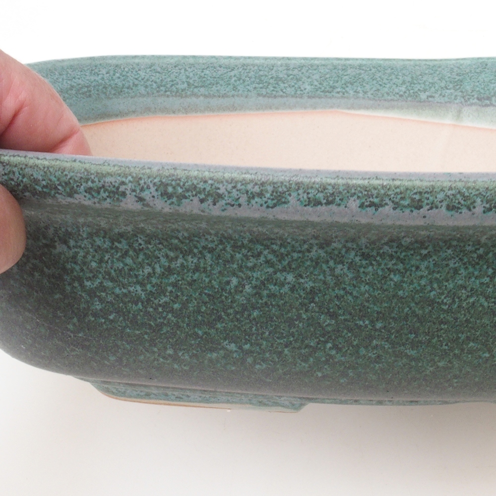 Coupe bonsaï H10 - 37 x 28 x 9 cm - vert