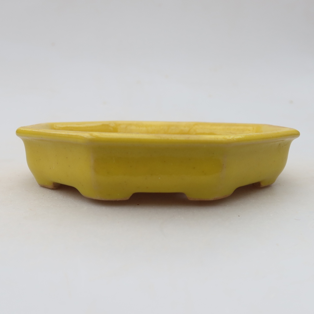 Pot à bonsaï en céramique 11,5 x 11,5 x 2,5 cm, couleur jaune