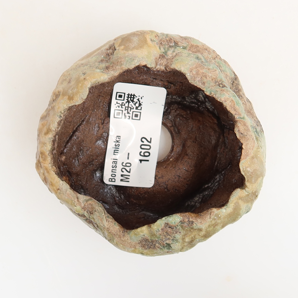 Coquille en céramique  6 x 5 x 5,5 cm , couleur verte