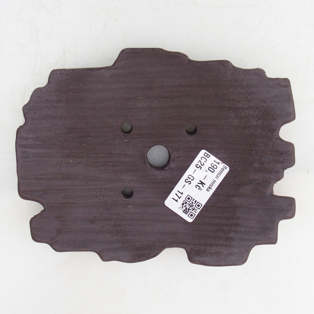 Coquille en céramique 16 x 12 x 3 cm , couleur marron