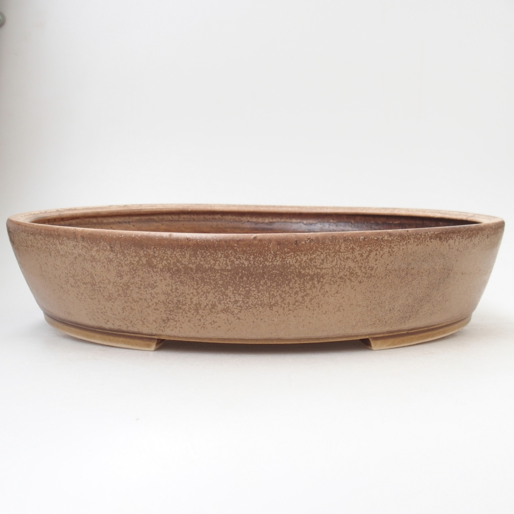Bol à bonsaï en céramique 31,5 x 27,5 x 6 cm, couleur beige