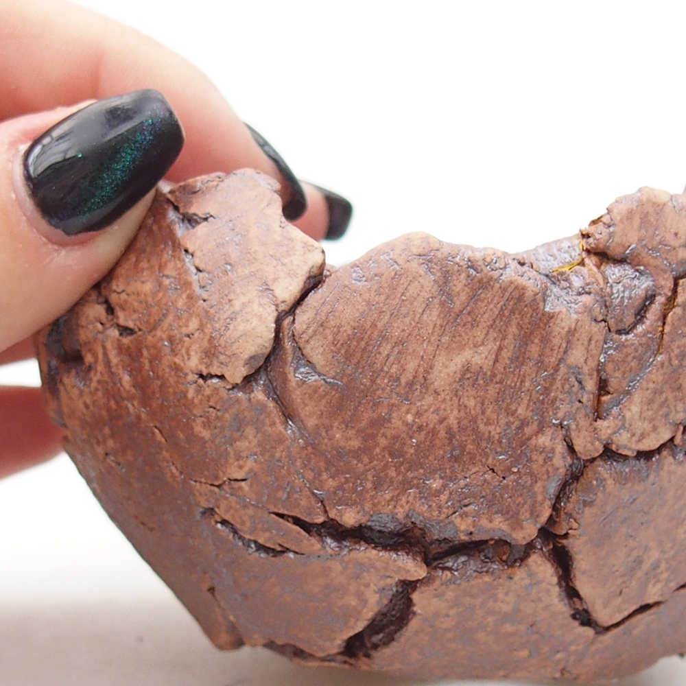 Coquille en céramique 9 x 9 x 5,5 cm , couleur marron