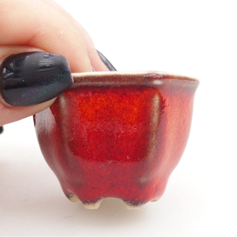 Mini bol bonsaï 4 x 4 x 3 cm, couleur rouge