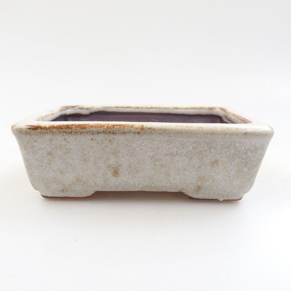 Bol à bonsaï en céramique 22 x 17 x 5 cm, vert