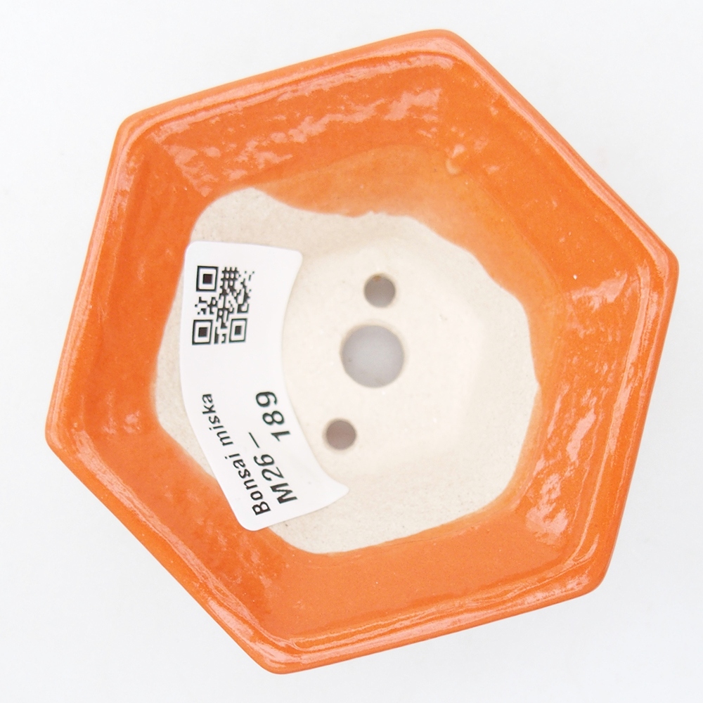 Mini bol bonsaï 8 x 7 x 3,5 cm, orange