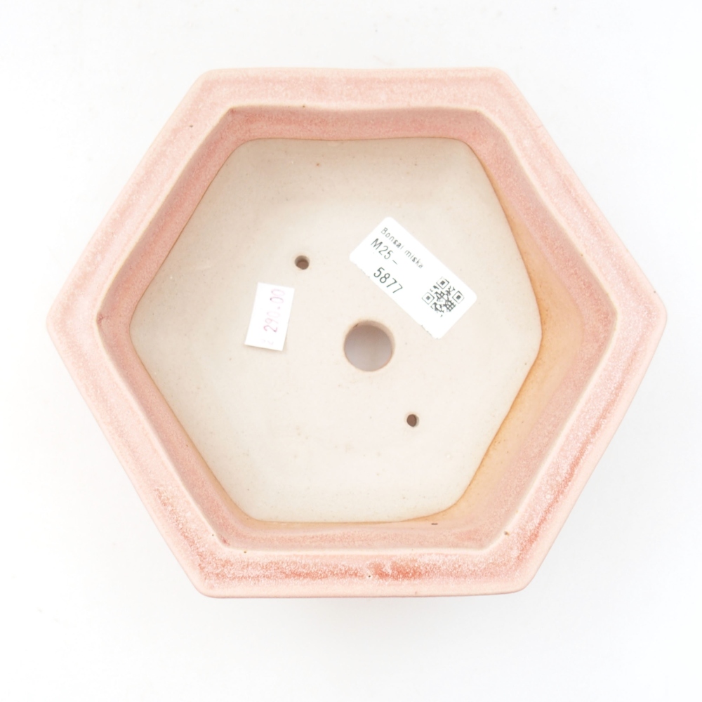 Bol à bonsaï en céramique 22 x 17 x 5 cm, vert