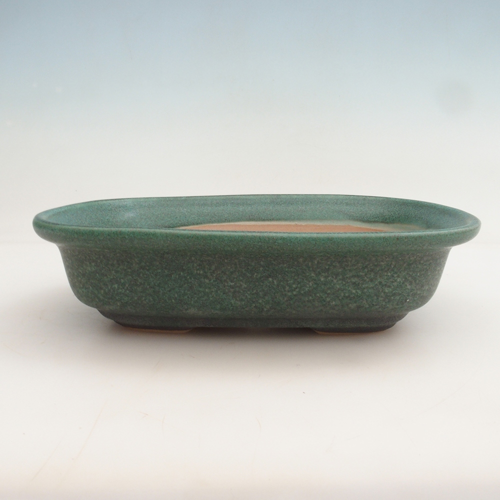 Coupe bonsaï H25 - 23 x 17 x 5,5 cm - vert