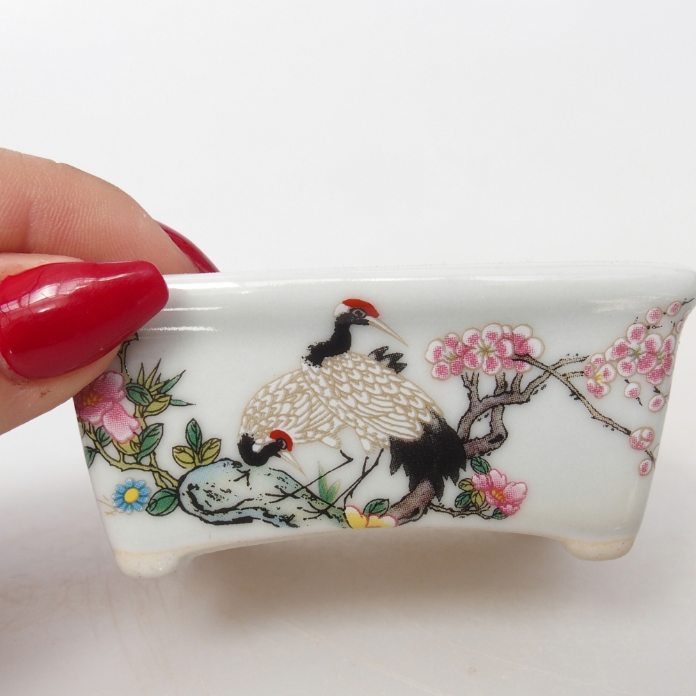 Mini bol bonsaï 8 x 6,5 x 3,5 cm, blanc