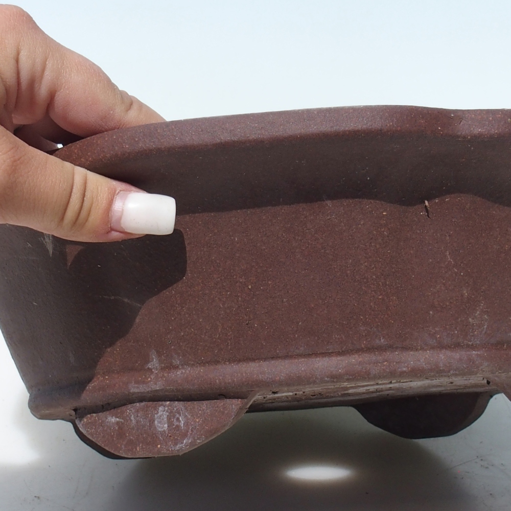 Bol pour bonsaï 30 x 30 x 9 cm bouleau brun