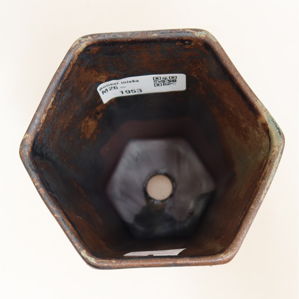 Pot à bonsaï en céramique 9,5 x 8,5 x 14 cm, couleur marron