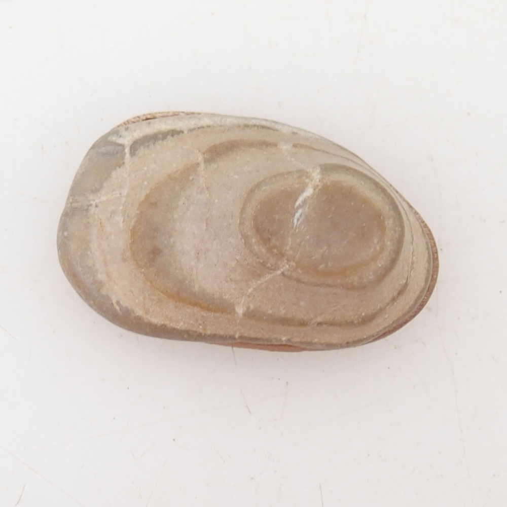 Suiseki - Pierre avec DAI (base en bois)