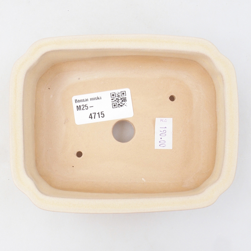 Bol à bonsaï en céramique 14 x 11 x 4 cm, couleur beige