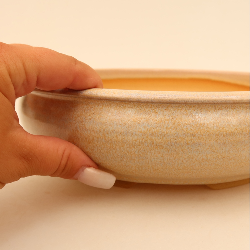 Pot à bonsaï en céramique 23 x 23 x 6,5 cm, couleur beige