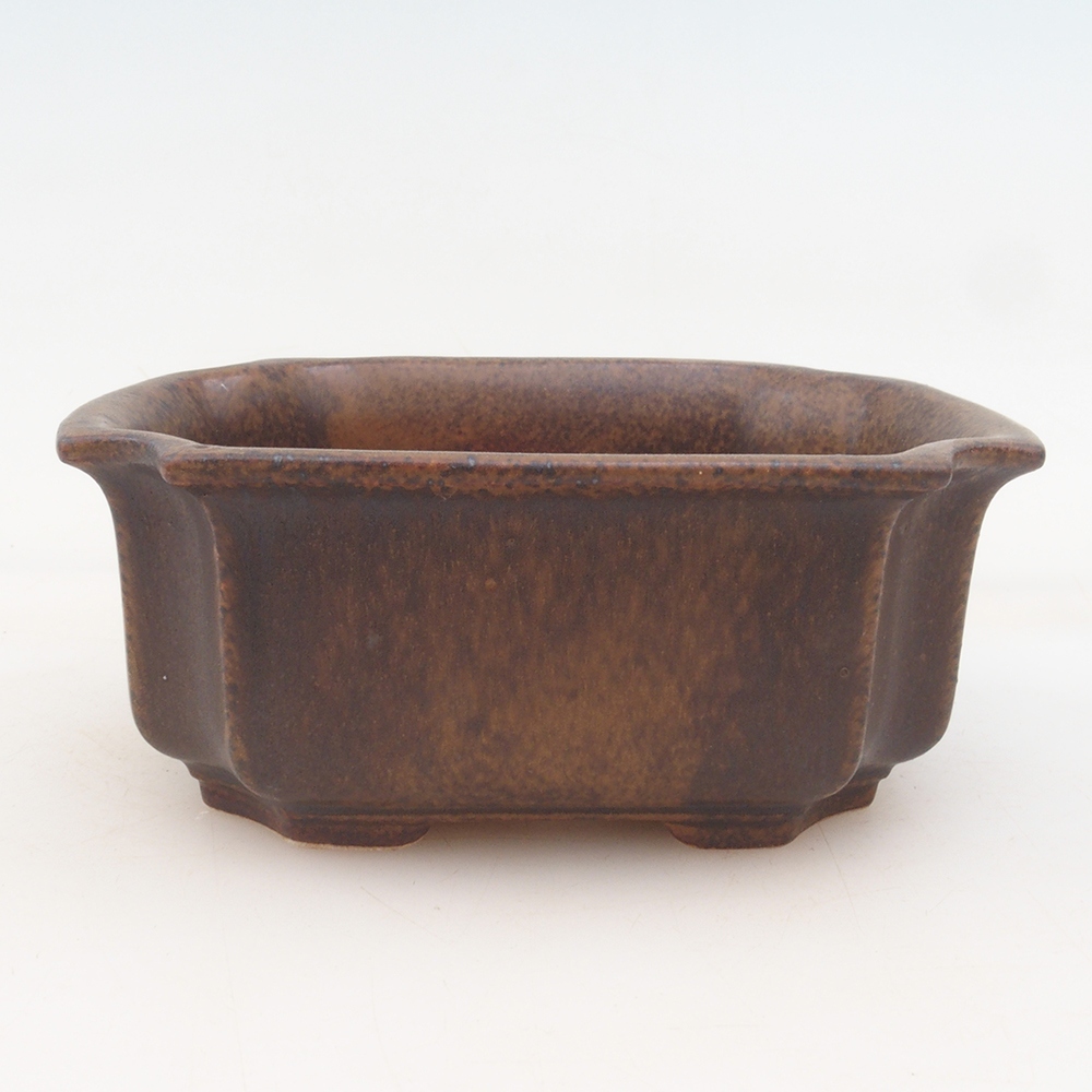 Bol Bonsaï + soucoupe H01 - brun