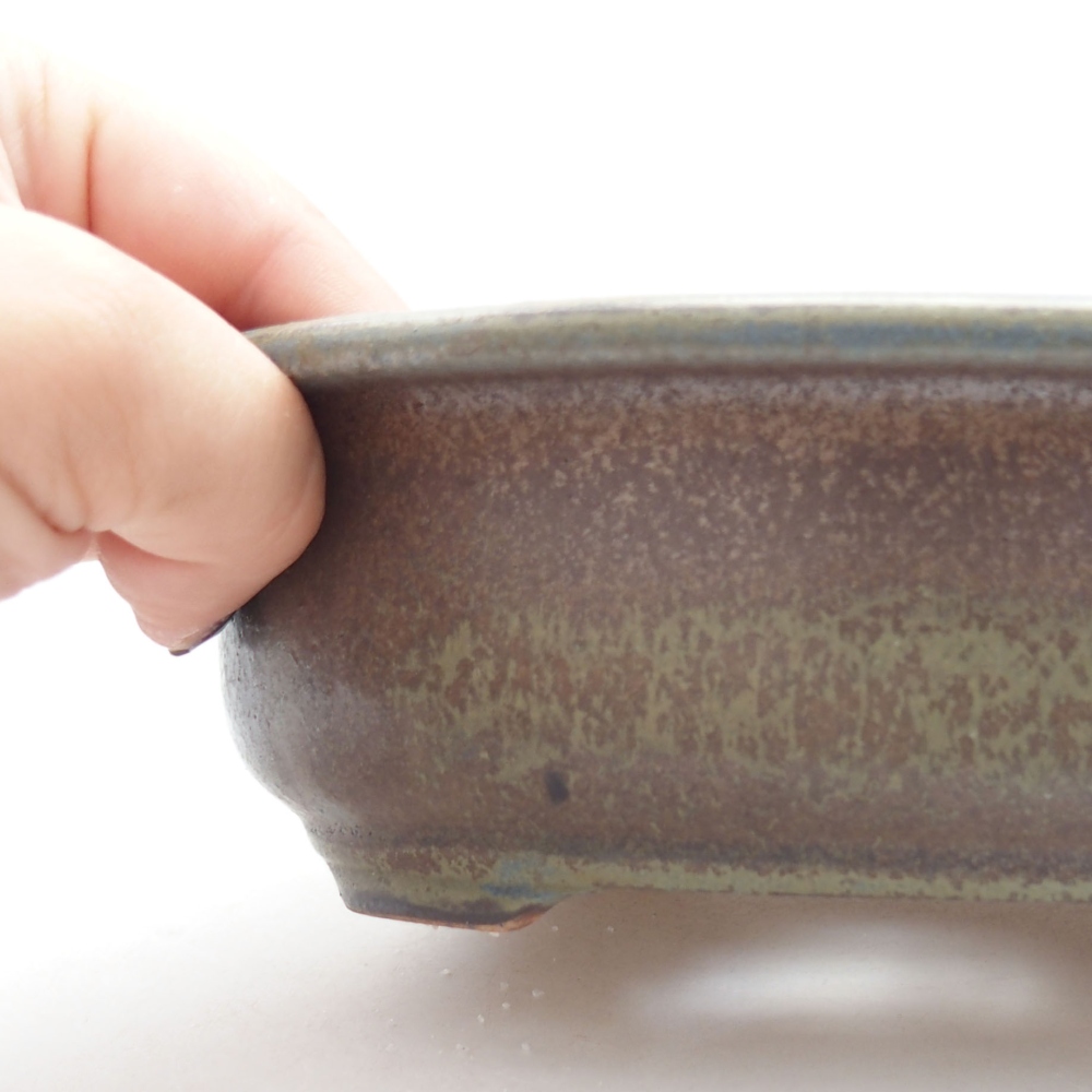 Bol à bonsaï en céramique 22 x 17 x 5 cm, vert