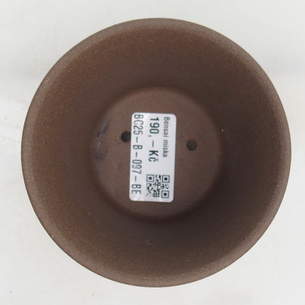 Bol à bonsaï en céramique 9,5 x 9,51 x 6,5 cm, couleur beige