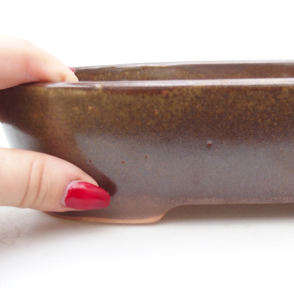 Bol à bonsaï en céramique 22,5 x 17 x 6 cm, brun