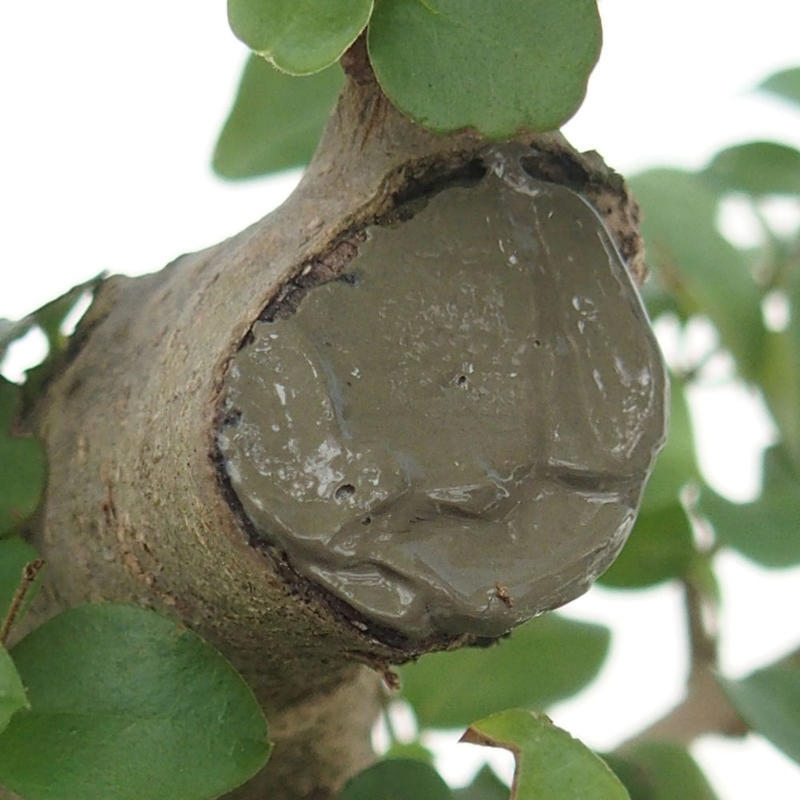 LAC Balm 200g avec pinceau