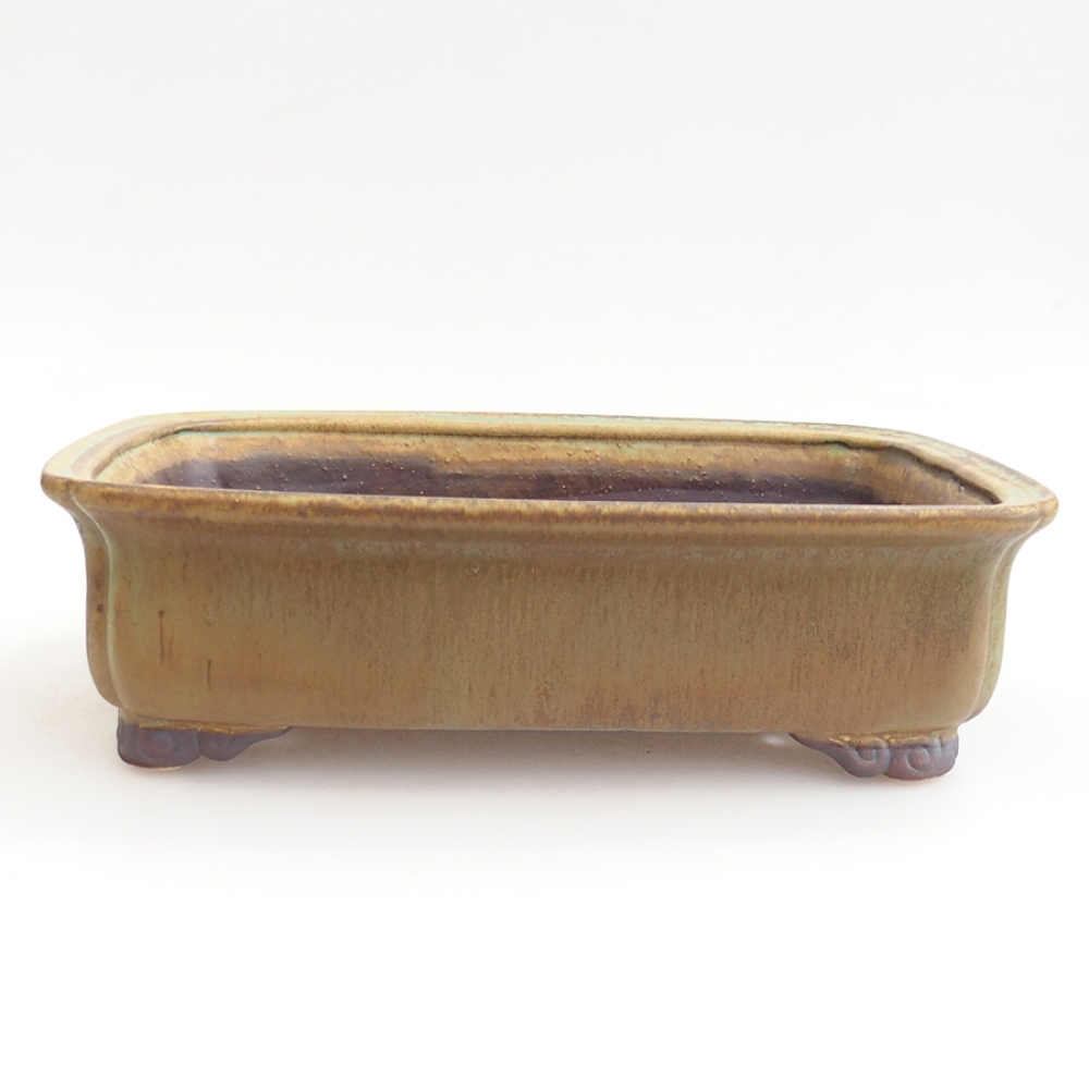 Bol à bonsaï en céramique 24,5 x 19 x 7 cm, vert