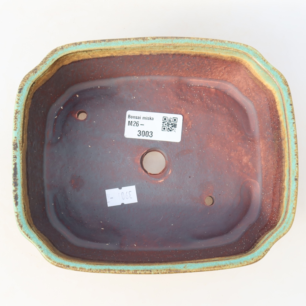 Bol à bonsaï en céramique 17,5 x 14,5 x 5 cm, vert