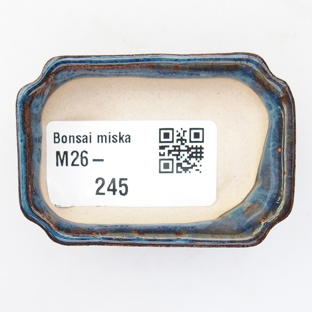 Mini bol bonsaï 6 x 4 x 1,5 cm, couleur bleu