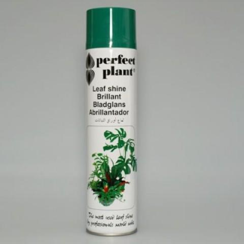 Feuille brillante 600 ml