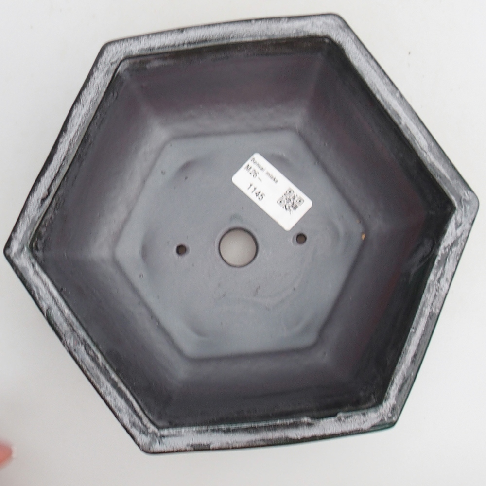 Bol à bonsaï en céramique 21 x 18 x 7,5 cm, couleur métal