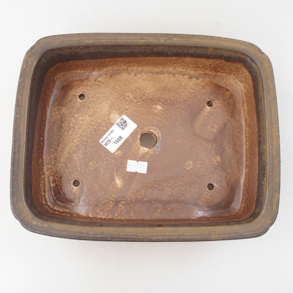 Bol à bonsaï en céramique 25 x 20 x 7 cm, brun