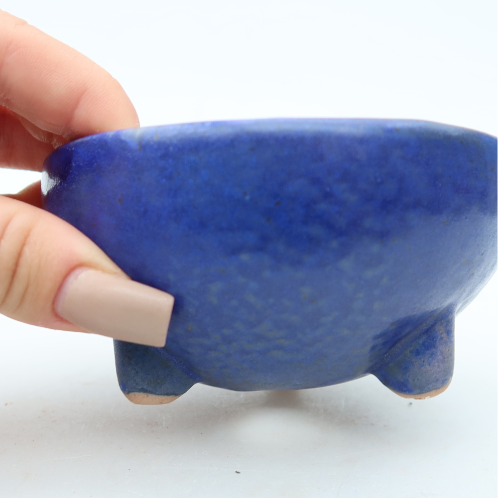 Bol à bonsaï en céramique 10 x 10 x 5 cm, couleur bleu