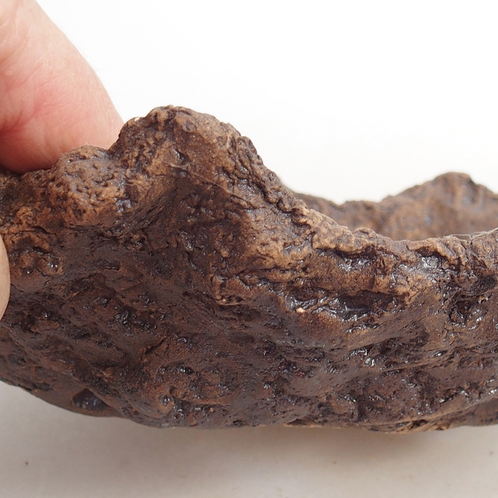 Coquille en céramique 20 x 14 x 7 cm , couleur marron