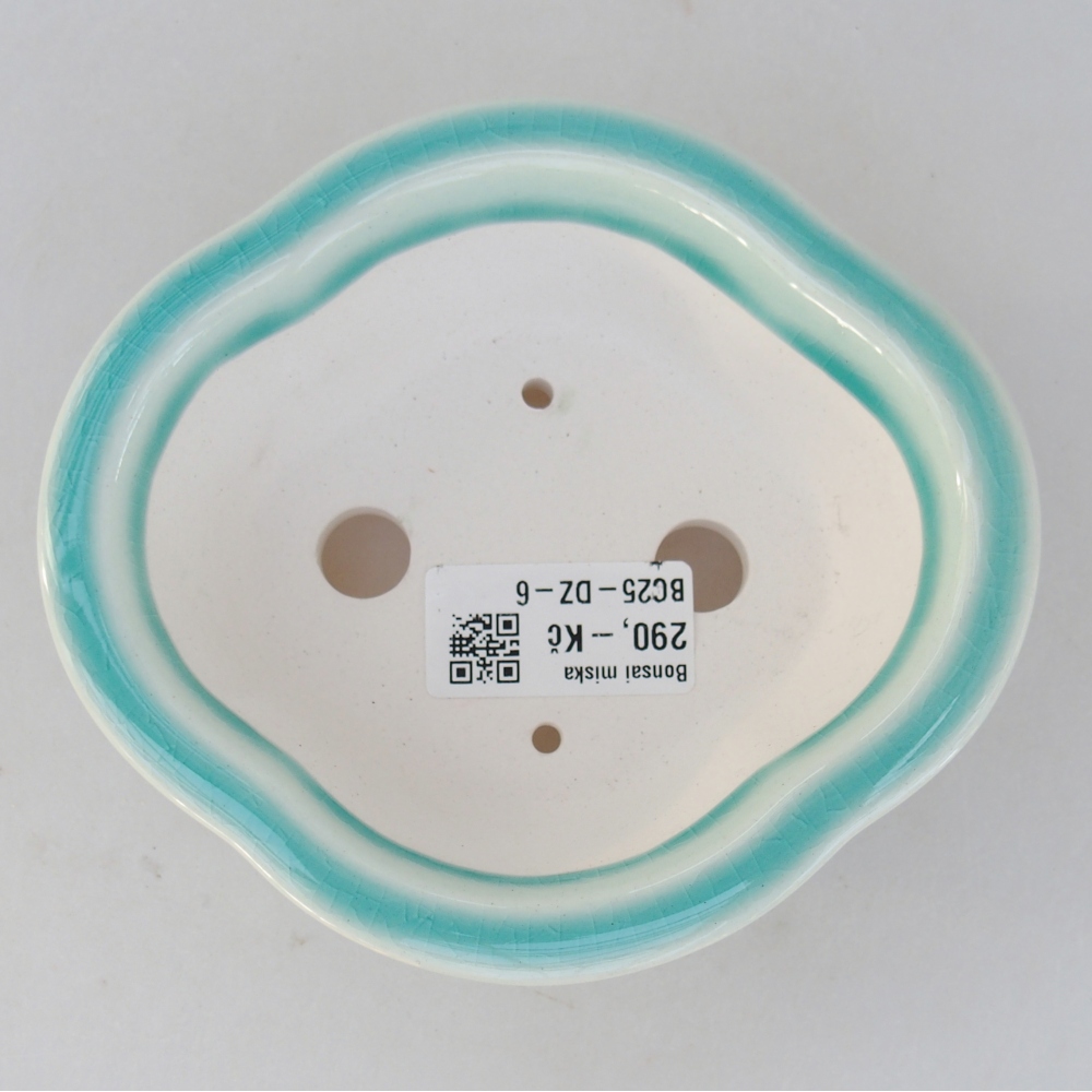 Bol à bonsaï en céramique 13 x 12 x 5 cm, vert