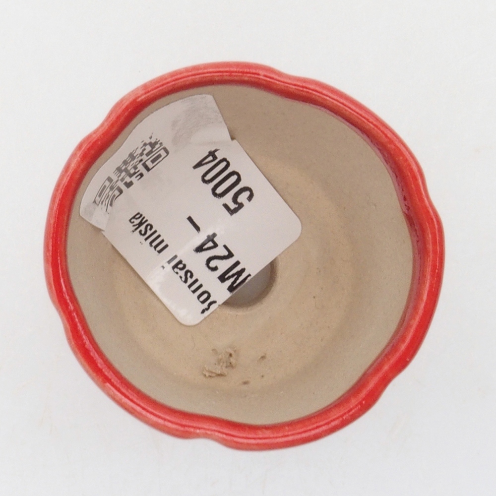 Mini bol bonsaï 4 x 4 x 4 cm, couleur rouge