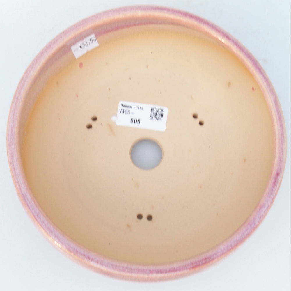 Bol à bonsaï en céramique 18,5 x 18,5 x 7 cm, rose