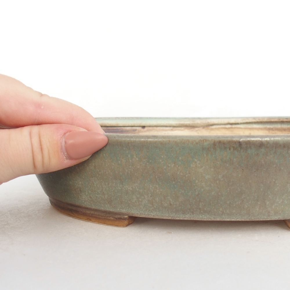 Bol à bonsaï en céramique 22,5 x 20 x 4,5 cm, vert