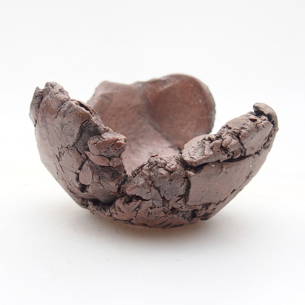 Coquille en céramique 6 x 6 x 4 cm , couleur marron