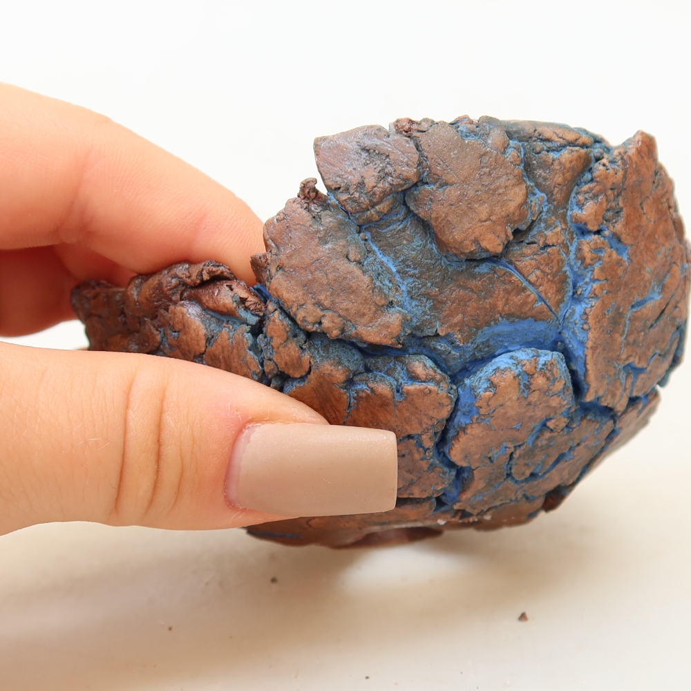 Coquille en céramique 9 x 9 x 4 cm, couleur bleue