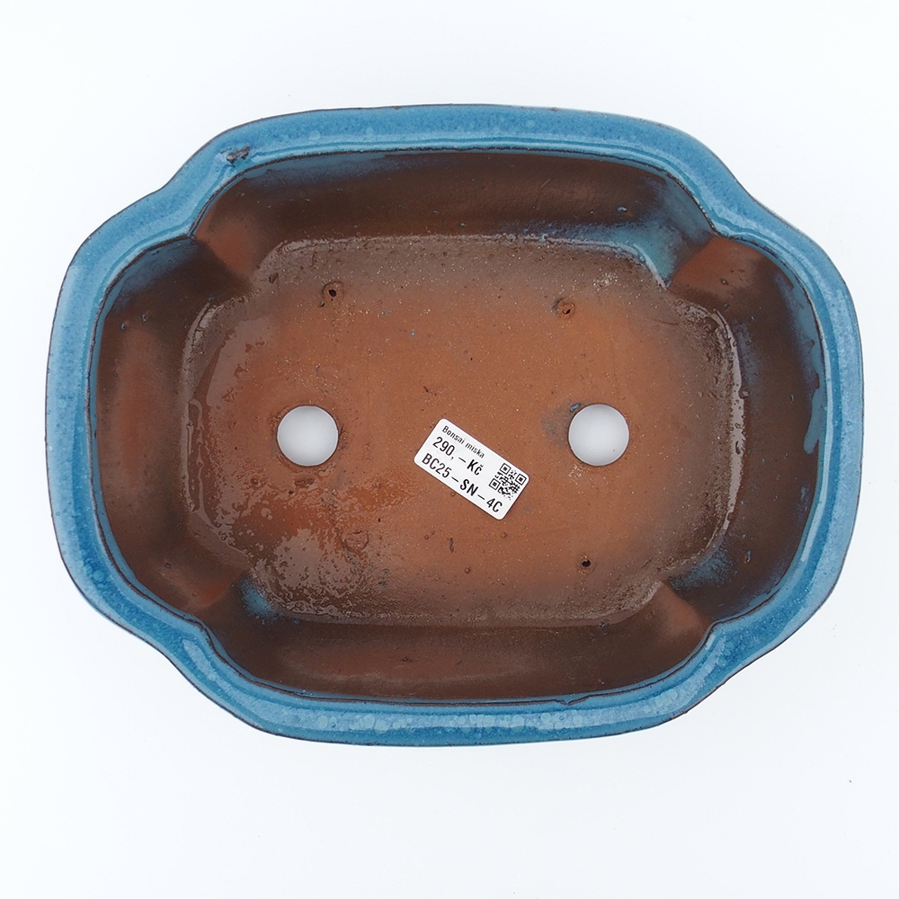 Bol 26 x 20 x 8,5 cm bleu