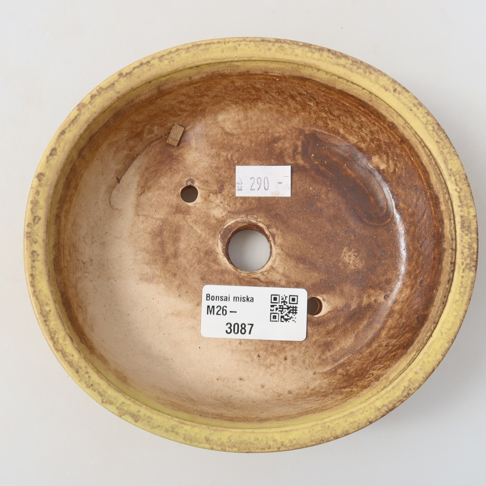 Pot à bonsaï en céramique 15,5 x 14,5 x 4 cm, couleur jaune