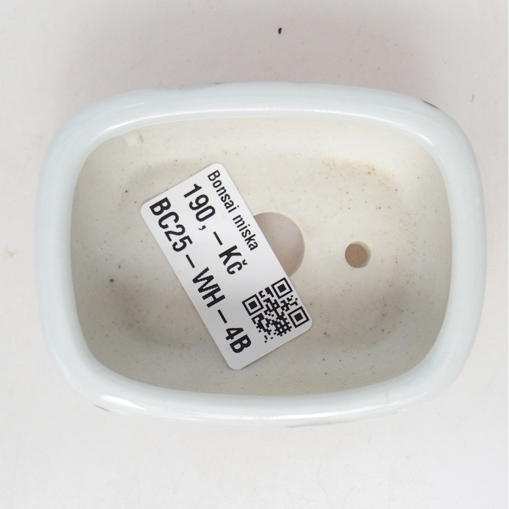 Mini bol bonsaï 8 x 6 x 3 cm, blanc