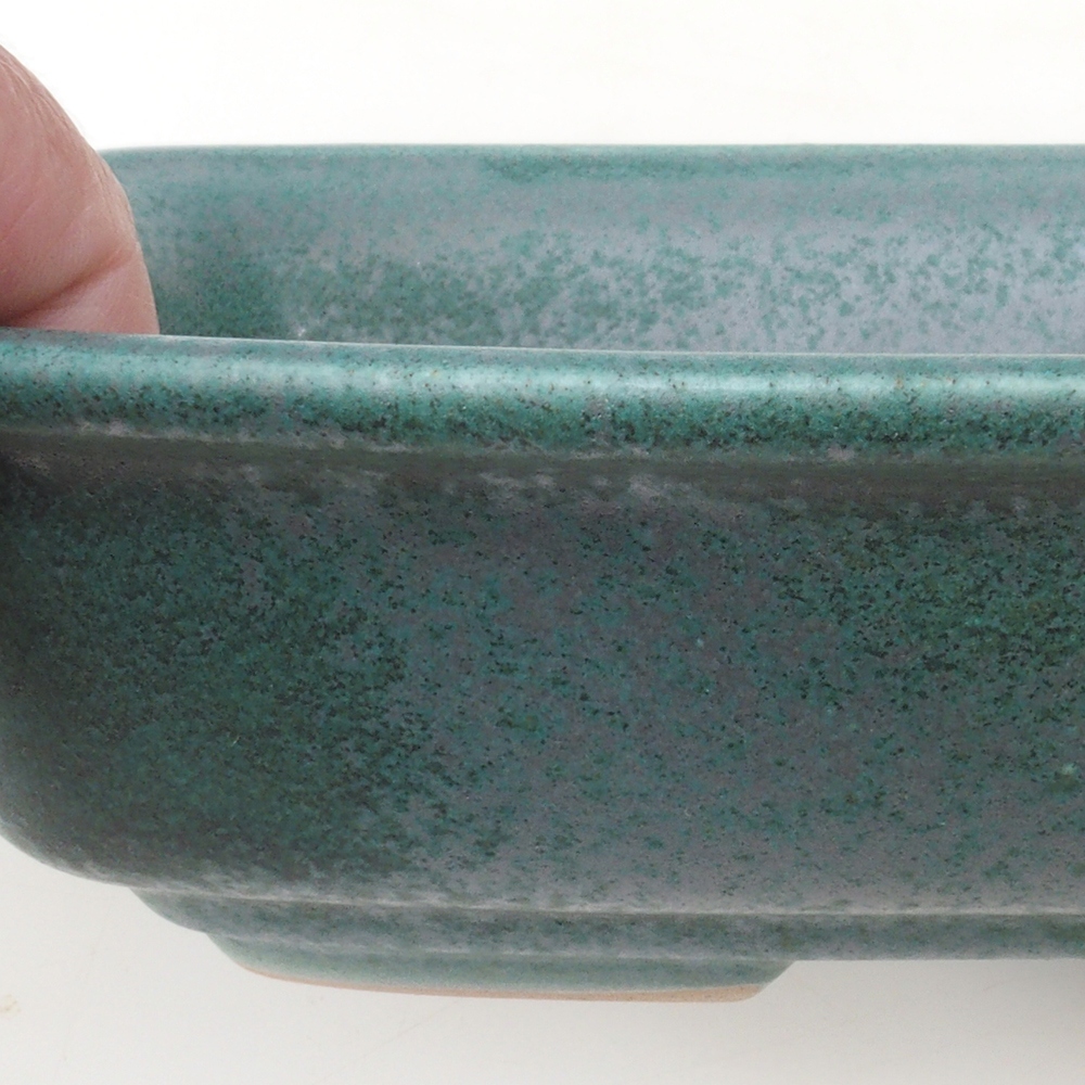 Coupe bonsaï H09 - 30 x 23 x 7,5 cm - vert