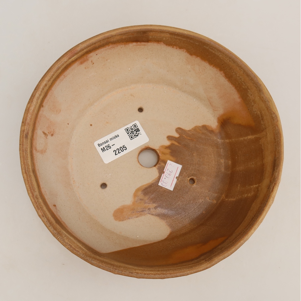 Pot à bonsaï en céramique 17,5 x 17,5 x 5,5 cm, couleur beige
